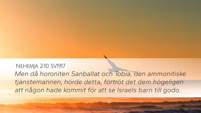 Nehemja 2:10 SV1917 Bible Verse Image