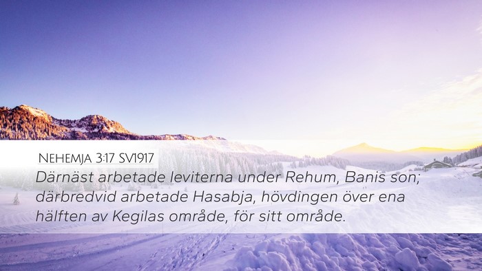 Nehemja 3:17 SV1917 Bible Verse Image