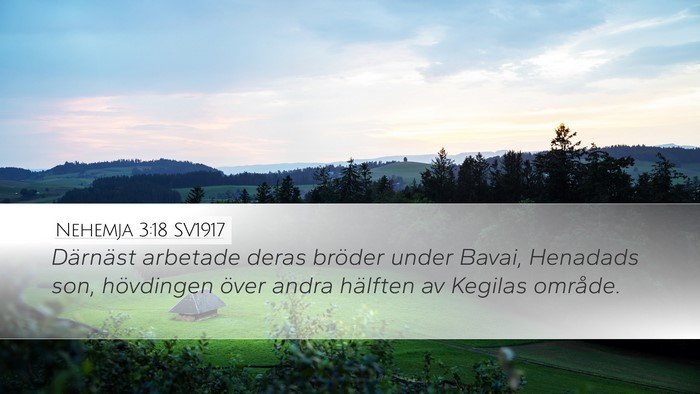 Nehemja 3:18 SV1917 Desktop Wallpaper - Därnäst arbetade deras bröder under Bavai, - Desktop Bible Verse Wallpaper