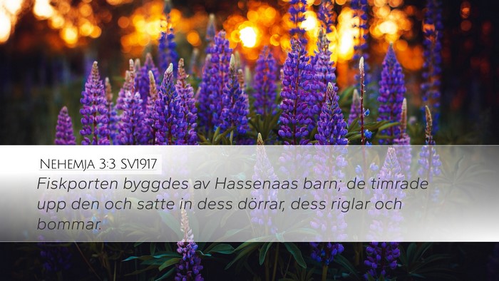 Nehemja 3:3 SV1917 Desktop Wallpaper - Fiskporten byggdes av Hassenaas barn; de timrade - Desktop Bible Verse Wallpaper