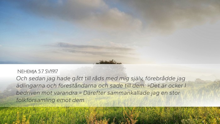 Nehemja 5:7 SV1917 Bible Verse Image