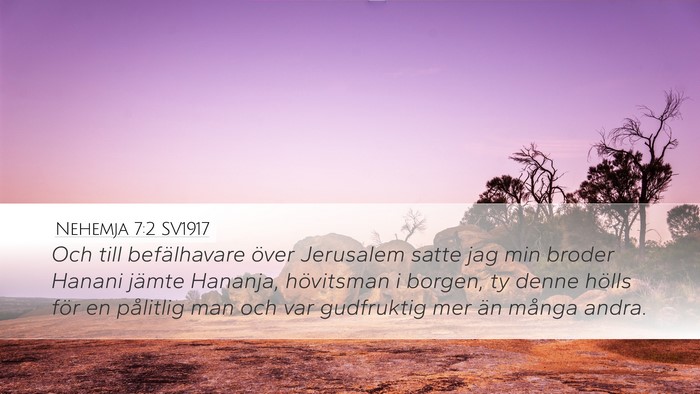 Nehemja 7:2 SV1917 Bible Verse Image