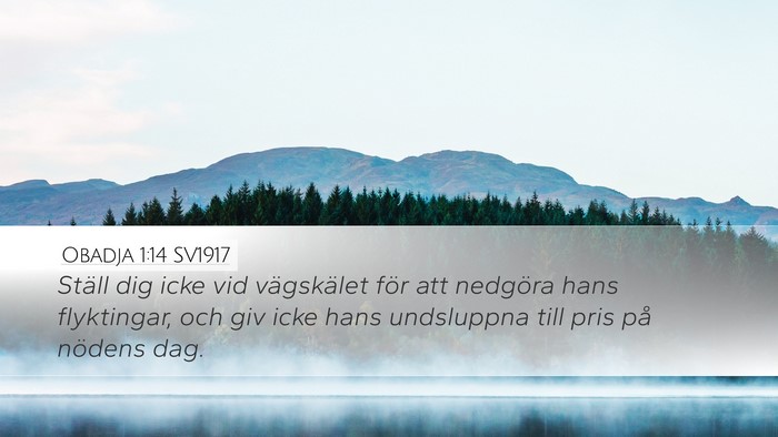 Obadja 1:14 SV1917 Bible Verse Image