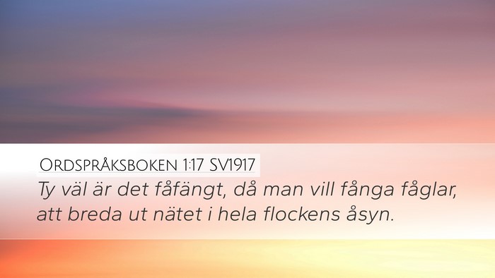 Ordspråksboken 1:17 SV1917 Bible Verse Image