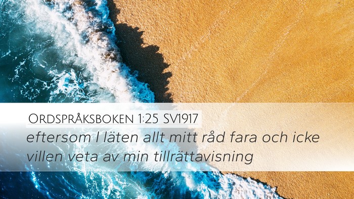 Ordspråksboken 1:25 SV1917 Bible Verse Image