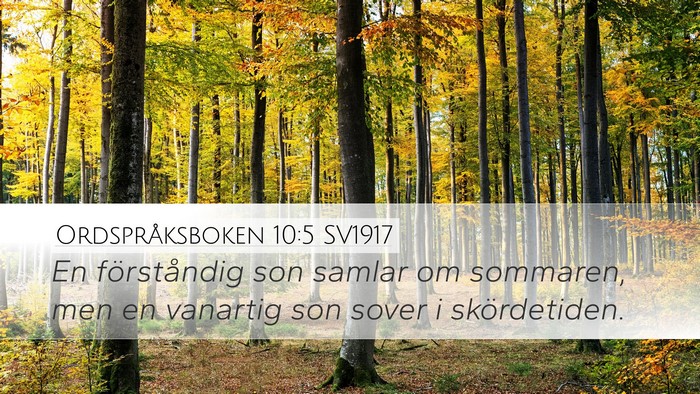 Ordspråksboken 10:5 SV1917 Bible Verse Image