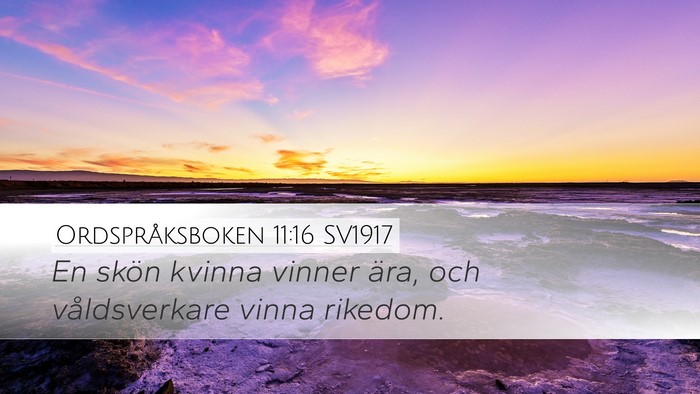 Ordspråksboken 11:16 SV1917 Desktop Wallpaper - En skön kvinna vinner ära, och våldsverkare - Desktop Bible Verse Wallpaper