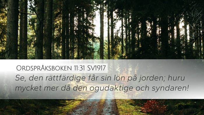 Ordspråksboken 11:31 SV1917 Bible Verse Image