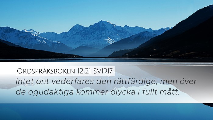 Ordspråksboken 12:21 SV1917 Bible Verse Image