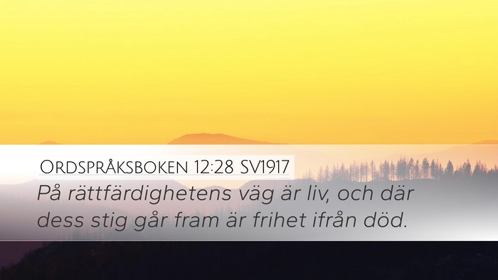 Ordspråksboken 12:28 SV1917 Bible Verse Image