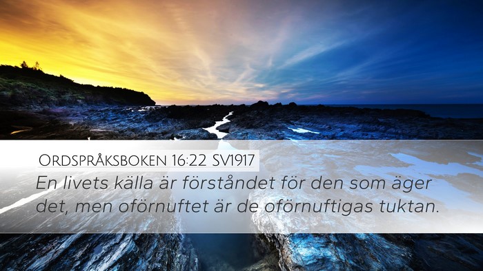 Ordspråksboken 16:22 SV1917 Bible Verse Image