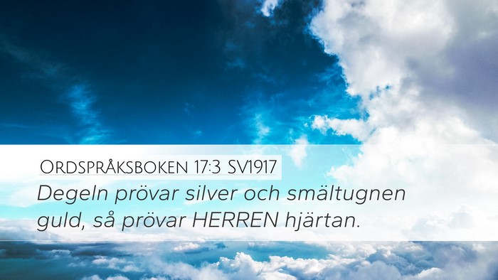 Ordspråksboken 17:3 SV1917 Bible Verse Image