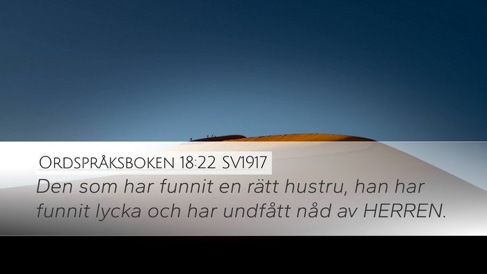 Ordspråksboken 18:22 SV1917 Bible Verse Image
