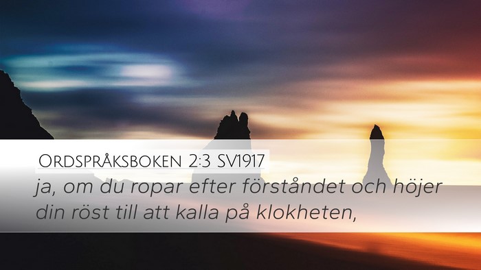 Ordspråksboken 2:3 SV1917 Bible Verse Image