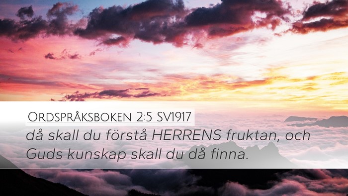 Ordspråksboken 2:5 SV1917 Bible Verse Image