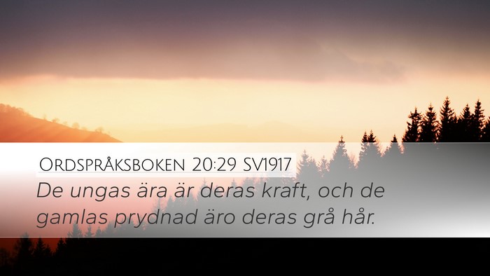 Ordspråksboken 20:29 SV1917 Bible Verse Image