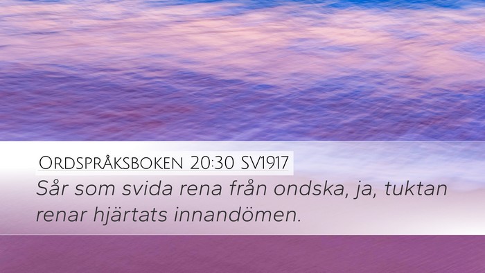 Ordspråksboken 20:30 SV1917 Bible Verse Image