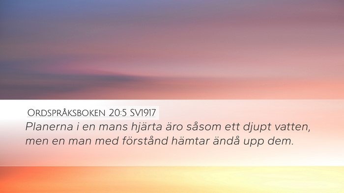 Ordspråksboken 20:5 SV1917 Bible Verse Image