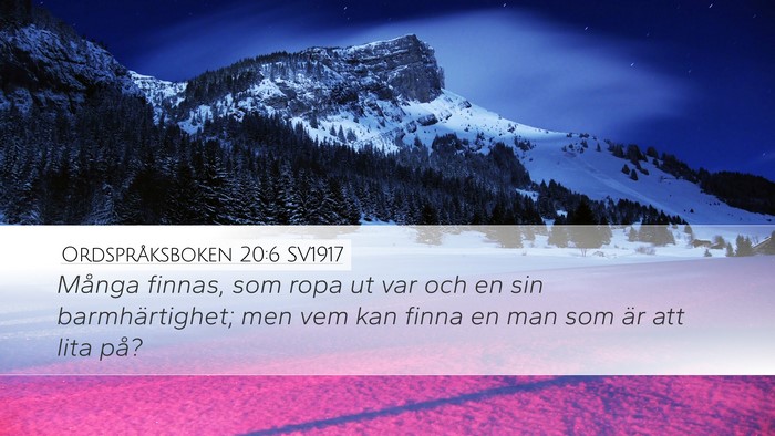 Ordspråksboken 20:6 SV1917 Bible Verse Image