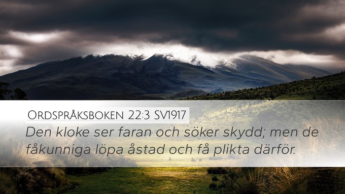 Ordspråksboken 22:3 SV1917 Bible Verse Image