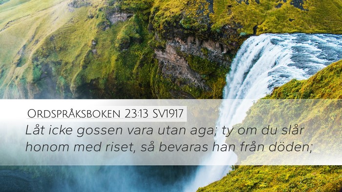 Ordspråksboken 23:13 SV1917 Bible Verse Image