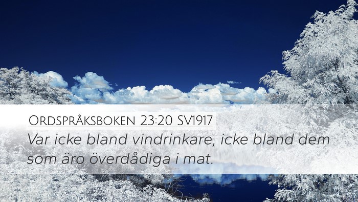 Ordspråksboken 23:20 SV1917 Bible Verse Image