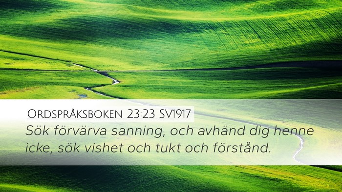 Ordspråksboken 23:23 SV1917 Bible Verse Image