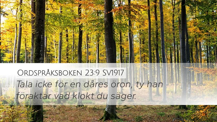 Ordspråksboken 23:9 SV1917 Bible Verse Image