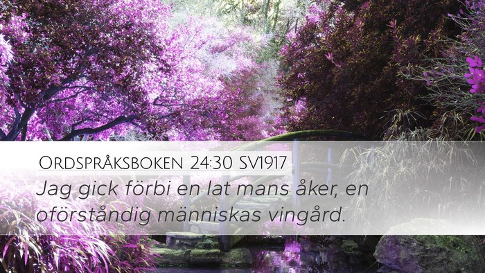Ordspråksboken 24:30 SV1917 Bible Verse Image