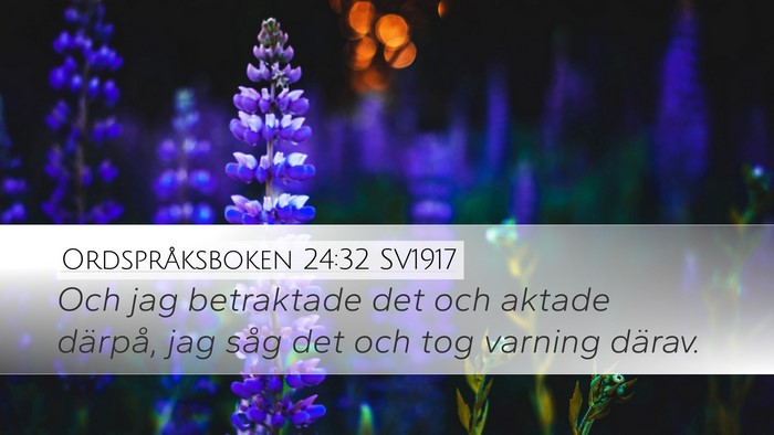 Ordspråksboken 24:32 SV1917 Desktop Wallpaper - Och jag betraktade det och aktade därpå, jag - Desktop Bible Verse Wallpaper