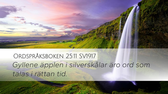 Ordspråksboken 25:11 SV1917 Bible Verse Image