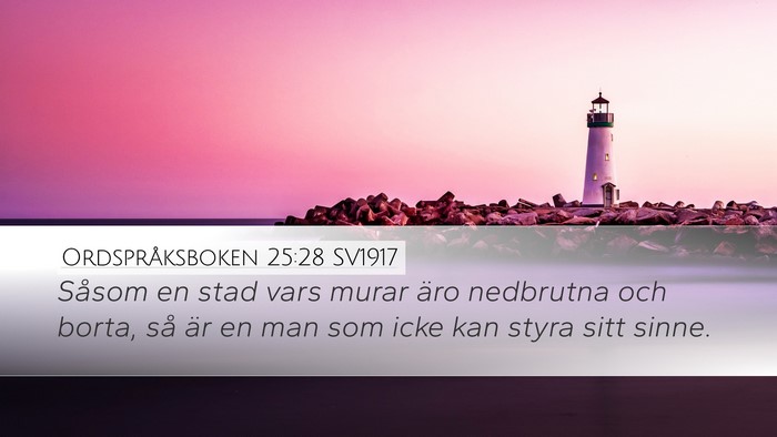 Ordspråksboken 25:28 SV1917 Bible Verse Image