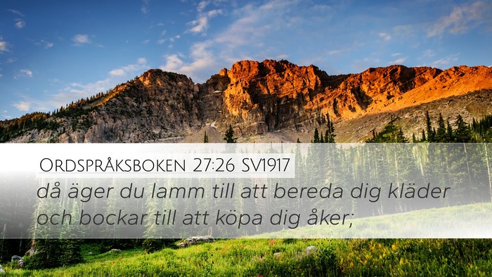 Ordspråksboken 27:26 SV1917 Desktop Wallpaper - då äger du lamm till att bereda dig kläder och - Desktop Bible Verse Wallpaper