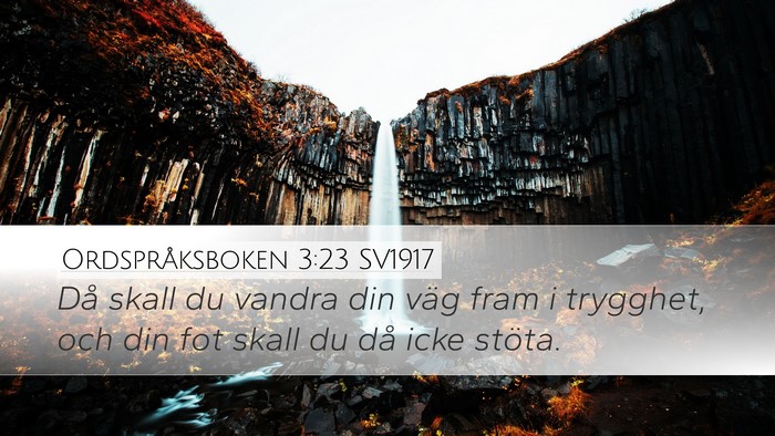 Ordspråksboken 3:23 SV1917 Bible Verse Image