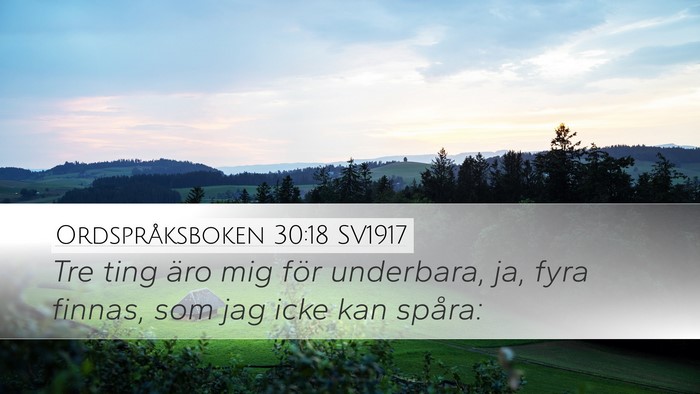 Ordspråksboken 30:18 SV1917 Desktop Wallpaper - Tre ting äro mig för underbara, ja, fyra - Desktop Bible Verse Wallpaper