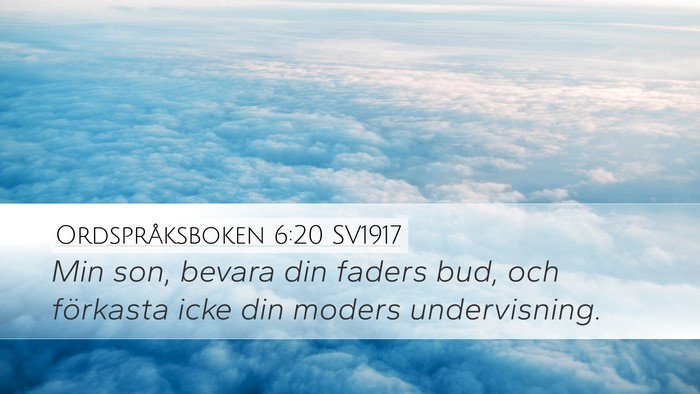 Ordspråksboken 6:20 SV1917 Bible Verse Image