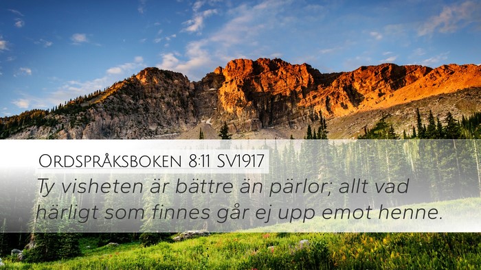 Ordspråksboken 8:11 SV1917 Bible Verse Image