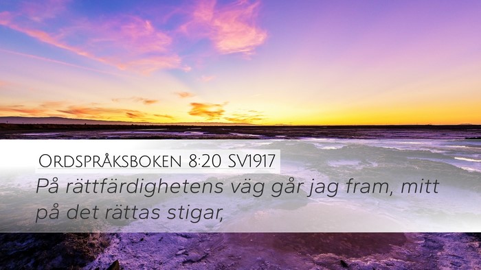 Ordspråksboken 8:20 SV1917 Bible Verse Image