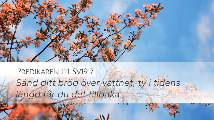 Predikaren 11:1 SV1917 Bible Verse Image