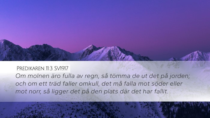 Predikaren 11:3 SV1917 Desktop Wallpaper - Om molnen äro fulla av regn, så tömma de ut - Desktop Bible Verse Wallpaper
