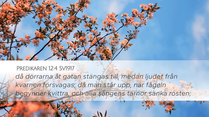 Predikaren 12:4 SV1917 Desktop Wallpaper - då dörrarna åt gatan stängas till, medan - Desktop Bible Verse Wallpaper