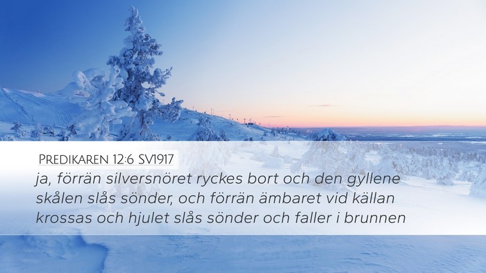 Predikaren 12:6 SV1917 Desktop Wallpaper - ja, förrän silversnöret ryckes bort och den - Desktop Bible Verse Wallpaper