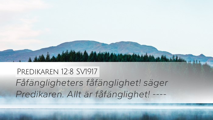 Predikaren 12:8 SV1917 Bible Verse Image