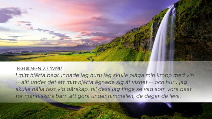 Predikaren 2:3 SV1917 Desktop Wallpaper - I mitt hjärta begrundade jag huru jag skulle - Desktop Bible Verse Wallpaper