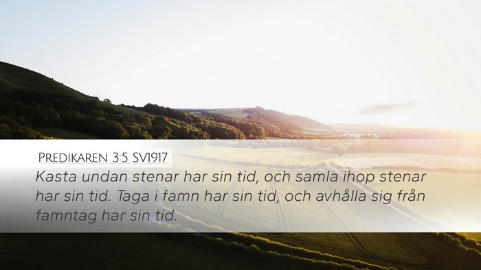Predikaren 3:5 SV1917 Desktop Wallpaper - Kasta undan stenar har sin tid, och samla ihop - Desktop Bible Verse Wallpaper