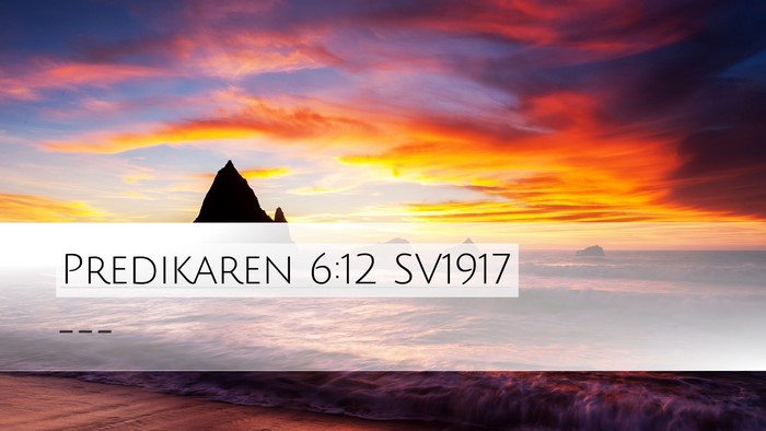 Predikaren 6:12 SV1917 Bible Verse Image