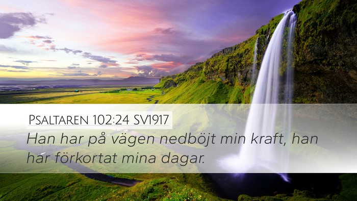 Psaltaren 102:24 SV1917 Bible Verse Image