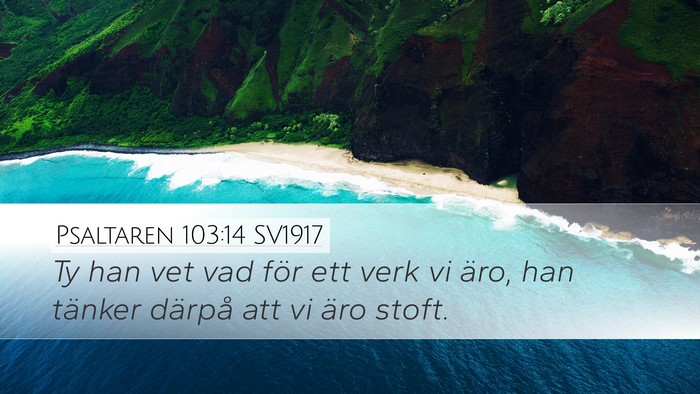 Psaltaren 103:14 SV1917 Desktop Wallpaper - Ty han vet vad för ett verk vi äro, han tänker - Desktop Bible Verse Wallpaper