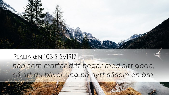 Psaltaren 103:5 SV1917 Desktop Wallpaper - han som mättar ditt begär med sitt goda, så - Desktop Bible Verse Wallpaper