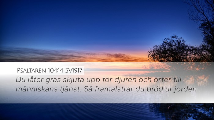 Psaltaren 104:14 SV1917 Bible Verse Image